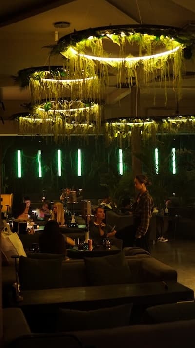 Guests in the dining room under light rings and green neon