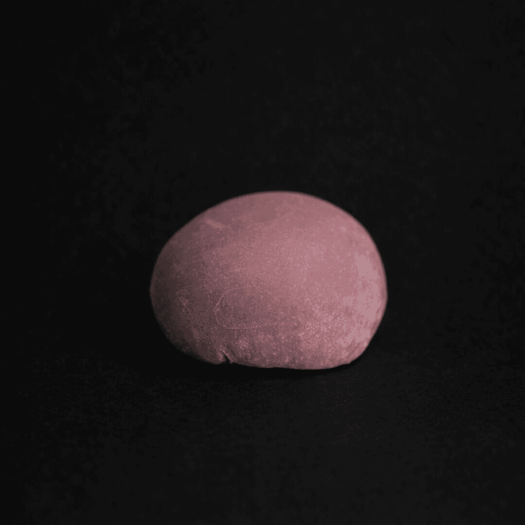 MOCHI 1 PCS